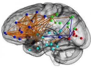 Identificazioni possibili da risonanza magnetica