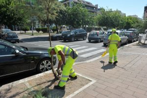 Csp, proseguono gli interventi di pulizia e sfalcio in tutta la città