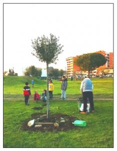 Acquistati e piantati alberi nei giardini della città