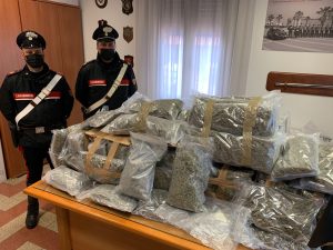 In auto con 60 chili di marijuana: arrestato