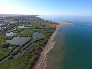 Ladispoli – Cerveteri: il 2 febbraio il Monumento naturale della Palude di Torre Flavia spegne 25 candeline