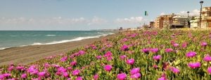 Ladispoli, il mare a Palo torna balneabile