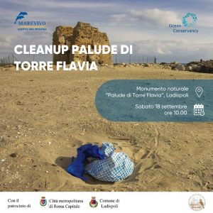 Ladispoli, torna Cleanup alla Palude di Torre Flavia