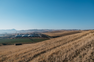 Biogas, l’obiettivo è raggiungere la neutralità carbonica