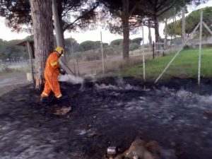 Roma, appicca incendio in area verde di Talenti: fermato rumeno con innesco