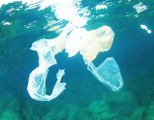 Stop alla plastica monouso, cosa non sarà più possibile acquistare