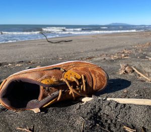 “Per un mare più bello”, parte a Montalto  la giornata ambientale plastic-free