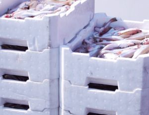 Cassette per il pesce in polistirolo, recuperabili e riciclabili al 100%