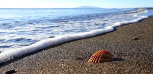 Ostia, scattano denunce e sanzioni per attività e stabilimenti