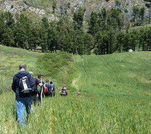 Pellegrini per un giorno: sulla Francigena da Capranica a Sutri