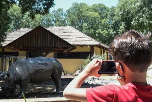 Montalto di Castro – Ripartono le colonie estive, ma i prezzi sono raddoppiati