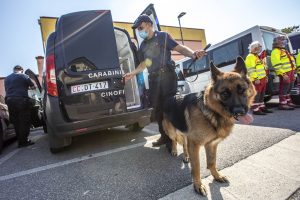 Orte – Carabinieri sequestrano 3 chili di droga al casello A1 grazie al fiuto del cane Wagner. Arrestati tre giovani