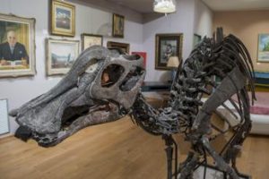 Trovato il più grande dinosauro carnivoro d’Europa