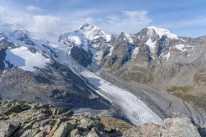 Un’alga alpina fa sciogliere (di più) i ghiacciai