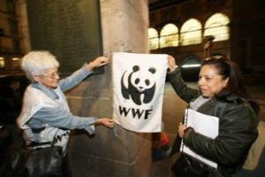 Tassonomia Ue, il WWF non ci sta