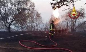 Incendi, bruciano ancora Carso e Versilia