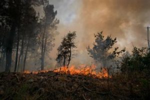 Incendi e caldo in Europa, migliaia di evacuati e centinaia di morti