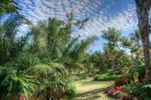 Un giardino segreto nelle acque di Napoli