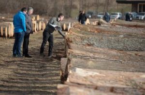 Mipaaf-FederlegnoArredo, ‘Rilinchiaro’ per informare filiera legno su regolamento Eutr