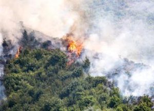 WWF: gli incendi di domani si spengono oggi