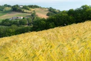 Da EcorNaturasì prestito obbligazionario da 10 mln per bio