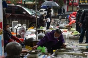 Covid partito da animali mercato Wuhan: studi cancellano dubbi