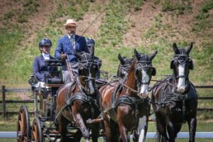 Ai Pratoni del Vivaro il Mondiale di attacchi riservato ai tiri a quattro dal 22 settembre