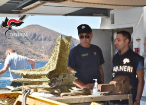 Recuperato nei fondali di Levanzo rostro nave romana battaglia Egadi