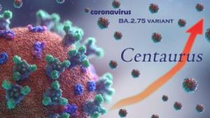 Centaurus in Italia, nuova variante Covid: sintomi e contagiosità