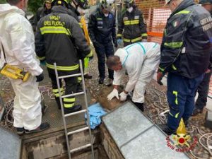 Milano, cinghiale in Darsena recuperato e poi morto