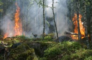 Alaska, con gli incendi aumenta il carbonio nell’aria