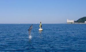 Governo, Deiana (Autorità portuale Sardegna): “Ministero del Mare? Sicuramente più attenzione”