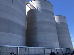 Stock sinergy: “A Civitavecchia entro 2024 altri 4 silos per oli vegetali”