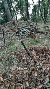 Grave sfregio in località Pianoro a Vasanello: disastrata l’area archeologica recentemente sistemata