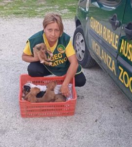 Cerveteri, passante trova cassetta con cinque cuccioli abbandonati: salvati dalla Guardie zoofile