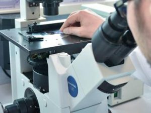 Un microscopio per il Vimm, Th Resorts sostiene il progetto