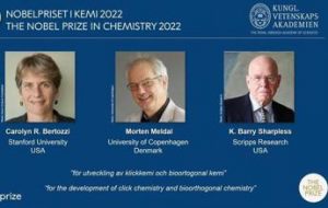 Nobel per la Chimica 2022 a Bertozzi, Meldal e Sharpless