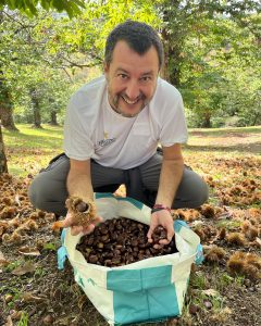 Matteo Salvini a caccia di castagne nei boschi di Caprarola