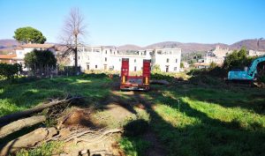 Bolsena – Addio al Giardino del maestro Pietro Porcinai, sfregio al patrimonio culturale del paese