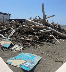 Montalto di Castro – Sulla spiaggia cumuli di sporcizia. Insieme: “Così ci presentiamo ai turisti?”