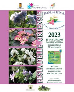 A Bolsena torna la Festa delle Ortensie, alla venticinquesima edizione