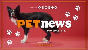 PetNews Magazine – 27/6/2023