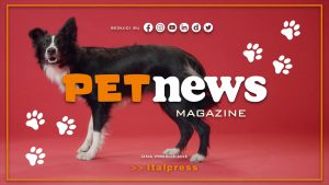 PetNews Magazine – 20/6/2023