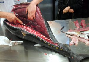 Formia, 70enne mangia tonno fatto in casa e muore per intossicazione da botulino