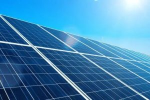 Nato il Comitato contro il Fotovoltaico Selvaggio a Montalto di Castro e Pescia Romana