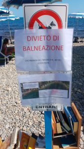 L’alga tossica si sposta a sud: a Santa Marinella nuovo divieto di balneazione tra Castel Secco e Santa Maria Morgana