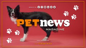 PetNews Magazine – 11/7/2023