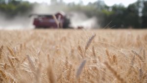 Cresce l’insicurezza alimentare