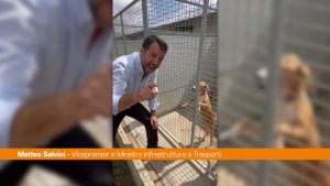 Salvini visita canile “Importante aprire le porte ai cuccioli”