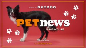 PetNews Magazine – 29/8/2023